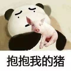 熊猫 小猪 黑色 抱抱我的猪