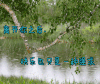伤感 离开你之后快乐也只是一种强求