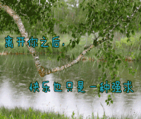 伤感 离开你之后快乐也只是一种强求
