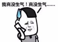 暴漫 文字表情包 我真的没生气真没生气 搞怪 逗 魔性