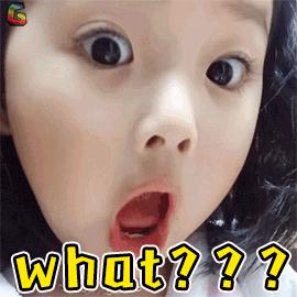 WhatGIF动态图_What表情包_WhatGIF动图-SO