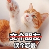 谈个恋爱 猫咪 伸出爪子 可爱