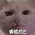 萌宠 猫星人 委屈巴巴 可怜 呆萌 可爱