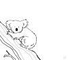 考拉 扒树 简笔画 线条 koala