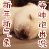 新年 狗 睡饱 soogif