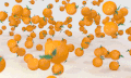 橙子 食物 水果 艺术