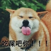 吃屎吧你 小狗狗 二汪 搞笑 斗图 伸舌头