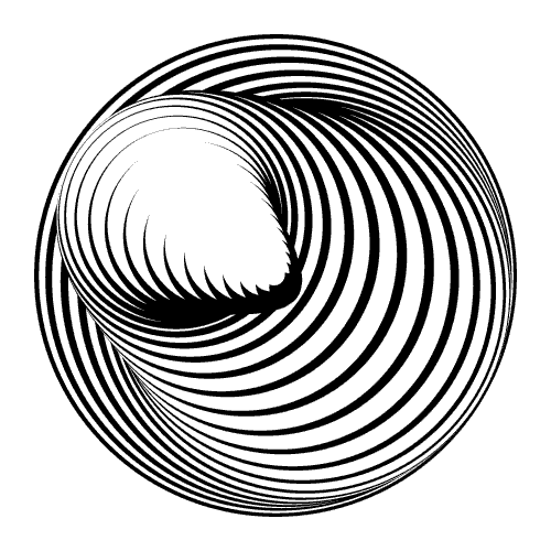 催眠 包围 旋转 循环 三维 视错觉 黑白