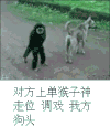 猴子 神走位 调戏 我方 狗头