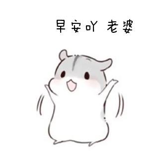 早安GIF表情图_早安动态_早安GIF动图-SOO字带表情包bigbang图片下载图片
