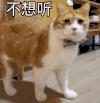 萌宠 喵星人 不想听 逃避 呆萌 可爱