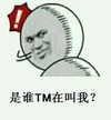 是谁TM在叫我 金馆长 回头 圆球