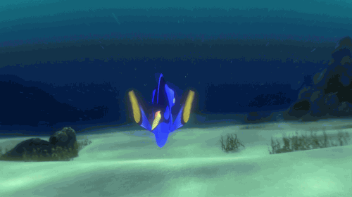 迪士尼 海底总动员 迪士尼皮克斯 迪士尼的GIF 皮克斯动画GIF 皮克斯 迪斯尼皮克斯 发现多莉 平底小渔船 多莉的GIF