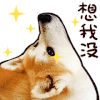 狗狗 想我没 耳朵 抬头