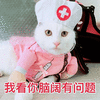 猫咪 护士 脑子有问题 呆萌 可爱