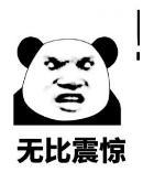 熊猫头 文字表情包 无比震惊 搞笑 逗 魔性