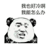 暴漫 熊猫头 我也好冷 我能怎么办 搞怪 逗