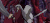inuvember sesshomaru day inuyasha 犬夜叉：完结篇 28 犬夜叉 戈薇 经典