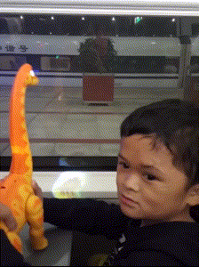 恐龙 玩具 搞笑 玻璃