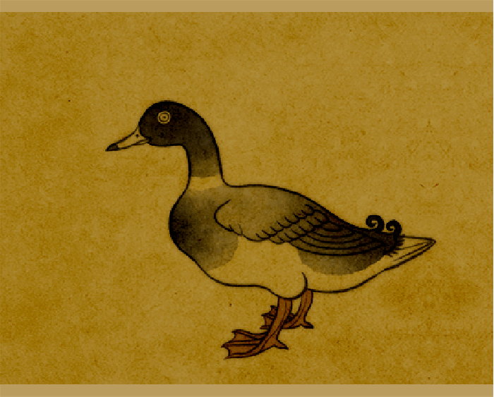 鸭子 中国风 手绘 动漫