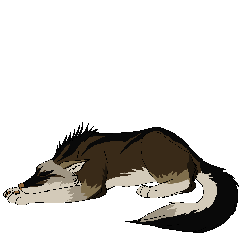 动画 卡通 狼 睡觉