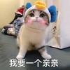 萌宠 猫星人 我要一个亲亲 害羞 可爱 呆萌