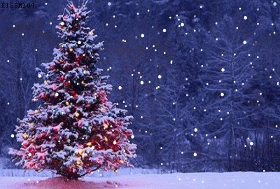 圣诞节 圣诞快乐 飘雪 圣诞树 闪耀 灯光 梦幻