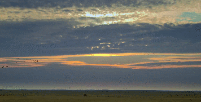 多瑙河 欧洲的亚马逊 安静 日落 纪录片 美 风景