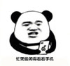 暴漫 熊猫头 忙死偷闲得看手机 看看手机 搞怪 逗