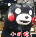 熊本熊 小纠结 可爱 萌宠
