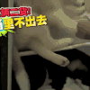 萌宠 动物 天太热 躲在冰箱不出去