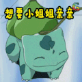 神奇宝贝 皮卡丘 动漫 二次元 soogif soogif出品 想要小姐姐亲亲 精灵宝可梦 神奇小精灵