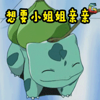 神奇宝贝 皮卡丘 动漫 二次元 soogif soogif出品 想要小姐姐亲亲 精灵宝可梦 神奇小精灵