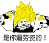 金馆长 逗比 假发 是你逼劳资的