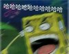 海绵宝宝 哈哈哈 兴奋 大笑 斗图 搞笑