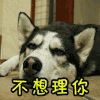 拒绝 不想理你 哈士奇