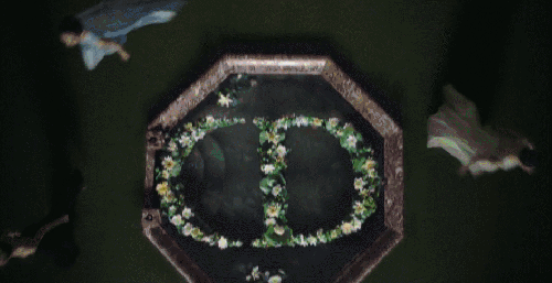 Dior广告 凡尔赛宫系列 标志 特写 秘密花园