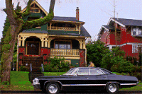 雪佛兰 车 别墅 树