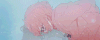 二次元 女孩 头发 眼睛