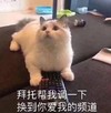 大杂烩 文字表情包 搞笑 逗 魔性