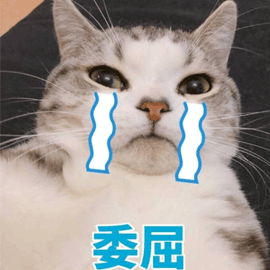 猫 委屈 伤心