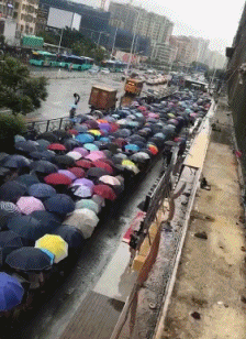 很多人 打伞 排队 下雨
