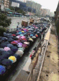 很多人 打伞 排队 下雨