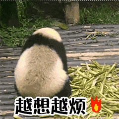 大熊猫 搞笑 撒娇 气愤 越想越烦