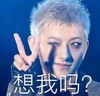 黄子韬 卖萌  可爱 斗图 想我吗