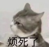 萌宠 猫星人 烦死了 难受 呆萌 可爱