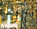 春雨绵绵