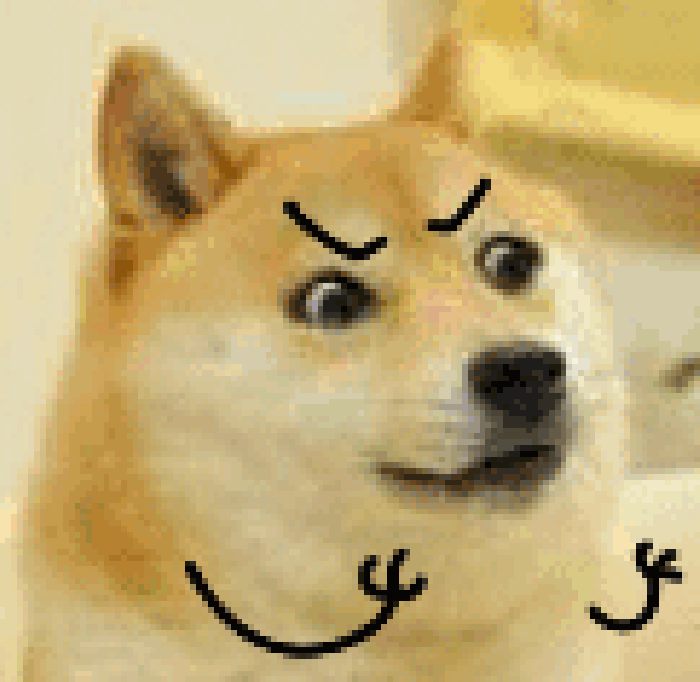 愤怒 小狗 生气 搞笑