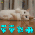 萌宠 猫咪 王者荣耀 撩 带带我嘛 soogif soogif出品