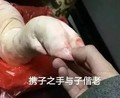 猪蹄 搞笑 雷人 斗图 携子之手与子偕老